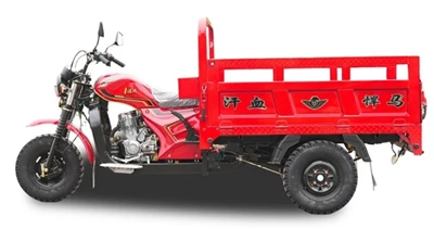 Yetişkinler İçin 150cc Tropikal İklim Kargo Üç Tekerlekli Bisiklet